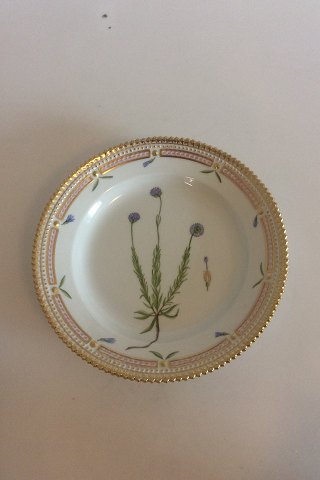 Royal Copenhagen Flora Danica Salat Tallerken No 20/3573