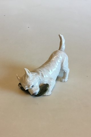 Royal Copenhagen Figur af Terrier med sutsko No 3476