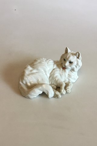 Augarten Porcelæn Wien Figur af kat No 1646