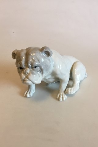 Heubach Lichte Figur af Engelsk Bulldog