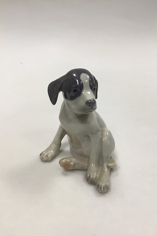 Royal Copenhagen Figur Pointer Hvalp No 206