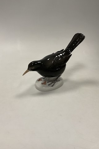 Bing og Grøndahl Figur af Solsort No 2405
