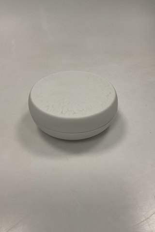 Platter & Samleartikler
