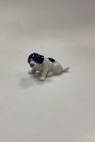 Royal Copenhagen Figur af Pointer Hvalp No. 1311