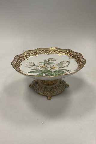 Royal Copenhagen Flora Danica Opsats, Antik