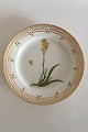 Kongelig Porcelæn Flora Danica Frokost Tallerken 20/3550 nyt nummer 622