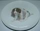 Bing & Grøndahl Platte med hund No. 3669/357-20