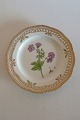 Royal Copenhagen Flora Danica Gennembrudt Frokosttallerken No 3554