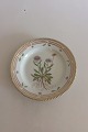 Royal Copenhagen Flora Danica Salat Tallerken No 20/3573