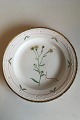 Royal Copenhagen Flora Danica Spisetallerken No 735/3549