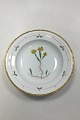 Royal Copenhagen Flora Danica let 
Dyb Tallerken No735/3546