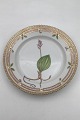 Royal Copenhagen Flora Danica Salat Tallerken No 20/3573