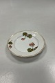 Royal Copenhagen Art Nouveau Stel No. 225 Pelargonie Kagetallerken No. 2033
