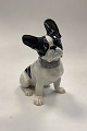 Tysk Heubach Porcelænsfigur af Fransk Bulldog